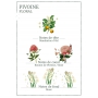Panier des Sens Zářivá pivoňka pleťové sérum 30 ml