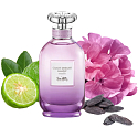 Coach Dreams Moonlight parfémovaná voda pro ženy 40 ml