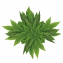 Bione Cosmetics Cannabis regenerační šampon na vlasy 260 ml