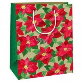 Ditipo Dárková papírová taška 18 x 10 x 22,7 cm Vánoční hvězda