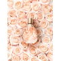 Bugatti Felicita Apricot parfémovaná voda pro ženy 60 ml
