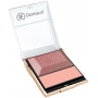 Dermacol Blush & Illuminator tvářenka s rozjasňovačem 04 9 g