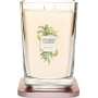 Yankee Candle Citrus Grove - Citrusový háj sojová vonná svíčka Elevation velká sklo 2 knoty 552 g