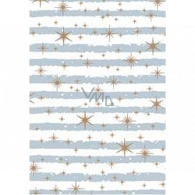 Ditipo Dárkový balicí papír 70 x 500 cm Bílý modrošedé pruhy a zlaté hvězdičky