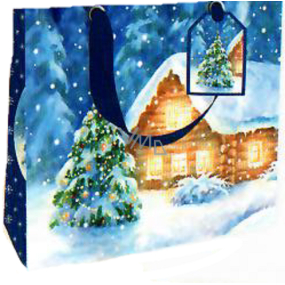 Nekupto Dárková papírová taška luxusní 18 x 16 cm Vánoční zasněžený domeček