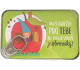Albi Plechová kapsa na peníze Malý dáreček pro tebe, ale poklad uvnitř je obrovský! 11 x 7 cm