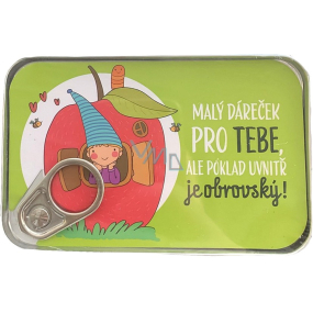 Albi Plechová kapsa na peníze Malý dáreček pro tebe, ale poklad uvnitř je obrovský! 11 x 7 cm