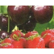 AgroBio® Signum
