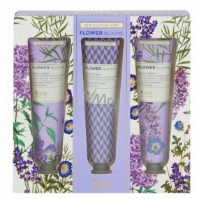 Heathcote & Ivory Flower Blooms Lavender Garden vyživující krém na ruce a nehty 3 x 30 ml, kosmetická sada