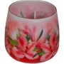 Essences of Life Amaryllis aromatická svíčka ve skle 100 g