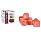 Kozák Divoká višeň přírodní vonný vosk do aromalamp a interiérů 8 kostiček 30 g