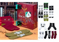 Epee Merch Harry Potter Adventní kalendář 12 denní ponožkový