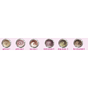 Dermacol Pearl Touch Eyeshadow vysoce třpytivé pěnové oční stíny 4,9 g odstín 2