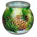 Admit Pine dekorativní aromatická svíčka ve skle 80 g