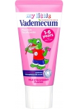 Vademecum Junior Mild Strawberry zubní pasta 50 ml