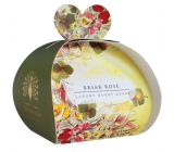 English Soap Šípková růže přírodní parfémované mýdlo s bambuckým máslem 3 x 20 g