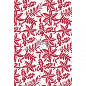 Ditipo Dárkový balicí papír 70 x 500 cm Bílý červené větvičky