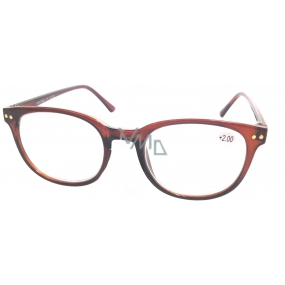 Berkeley Čtecí dioptrické brýle +2,5 hnědé 1 kus MC2 ER4048