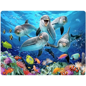Prime3D pohlednice - Delfíni 16 x 12 cm