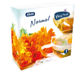 Big Soft Normal papírové ubrousky 1 vrstvé 33 x 33 cm 100 kusů