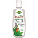 Bione Cosmetics Dentamint Cannabis ústní voda 500 ml