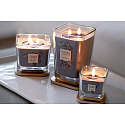 Yankee Candle Dark Berries - Ostružiny sojová vonná svíčka Elevation velká sklo 2 knoty 553 g