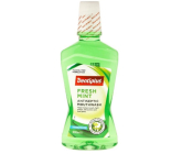 Dentiplus Fresh Mint ústní voda bez alkoholu, s mátovou příchutí 500 ml