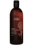 Ziaja Sunflower s výtažkem ze slunečnice šampon pro barvené vlasy 500 ml