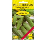 Holman F1 Aurea okurky nakladačky jemnoostná 2,5 g