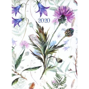 Albi Diář 2020 denní Luční květy 17 x 12,6 x 2,4 cm