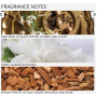Grace Cole Oud Accord & Velvet Musk - Oudové dřevo a sametové pižmo jemné mléko na ruce dávkovač 300 ml