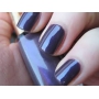 Loreal Paris Color Riche Le Vernis lak na nehty 501 Mauve Rendez Vous 5 ml