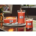 WoodWick Tamarind & Stonefruit - Tamarind a peckovice vonná svíčka s dřevěným knotem a víčkem sklo velká 609 g