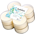 Bolsius True Moods In Balance White Tea & Mint Leaves - Bílý čaj a listy máty maxi vonné čajové svíčky 8 kusů, doba hoření 8 hodin