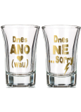 Nekupto Párové panáky Dnes ANO a Dnes NE 2 x 40 ml