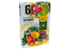 Tea Lights Lemongrass Coriander vonné čajové svíčky 6 kusů