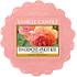 Yankee Candle Sun Drenched Apricot Rose - Vyšisovaná meruňková růže vonný vosk do aromalampy 22 g