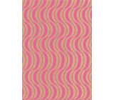 Ditipo Dárkový balicí papír 70 x 200 cm KRAFT Růžové ornamenty
