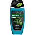 Palmolive sprchový gel 3v1 pro muže Sport 250 ml