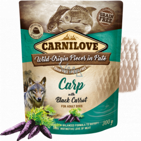 Carnilove Dog Pouch Paté Kapr s černou mrkví bezobilné kapsičky pro dospělé psy 300 g