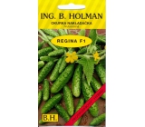 Holman F1 Regina okurky nakladačky 2 g