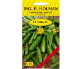 Holman F1 Regina okurky nakladačky 2 g