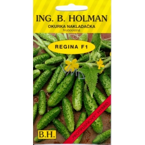 Holman F1 Regina okurky nakladačky 2 g