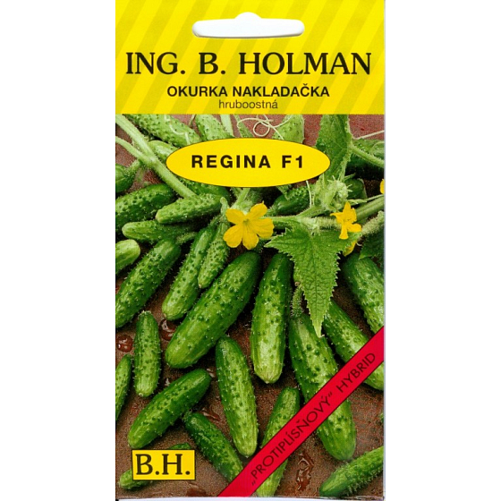 Holman F1 Regina okurky nakladačky 2 g