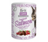 Brit Care Cat Snack Křupavý lososový pamlsek se šípkem a brusinkami doplňkové krmivo pro dospělé kočky 100 g