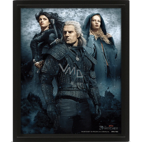 Epee Merch Zaklínač 3D obraz 291 x 242 x 43 mm