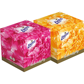 Linteo Premium papírové kapesníky 3vrstvé, box 60 ks Linteo Premium papírové kapesníky 3vrstvé, box 60 ks