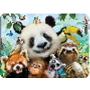 Prime3D magnet - Zoo Selfie 9 x 7 cm