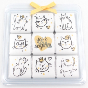 Nekupto Čokoládové puzzle Valentýn Kočky 9 x 5 g, 11 x 11,5 x 0,7 cm