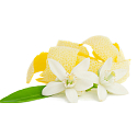 Millefiori Milano Natural Lemon Grass - Citrónová tráva Difuzér 250 ml + 8 stébel v délce 30 cm do středně velkých prostor vydrží minimálně 3 měsíce